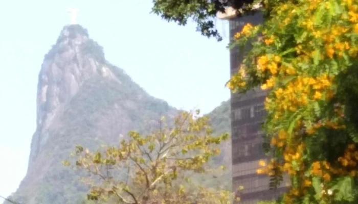 Friburgo Eletro Móveis - Nova Friburgo