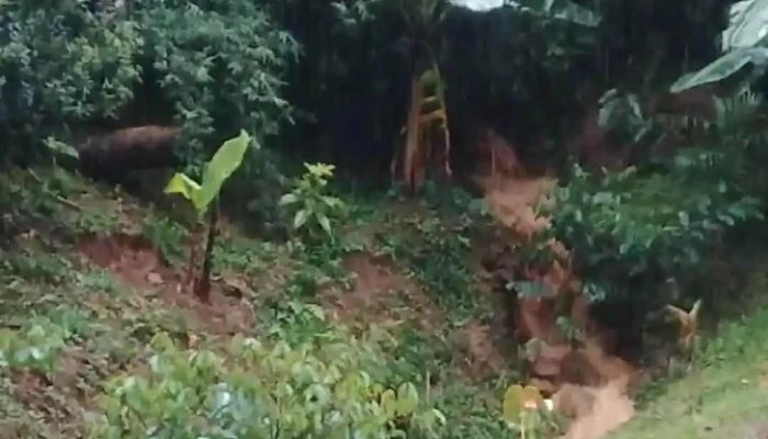 Friburgo Eletro Moveis Videos - Nova Friburgo