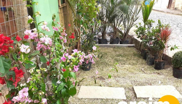 Horto Bambu Mirim Cordeiro Rj - Cordeiro