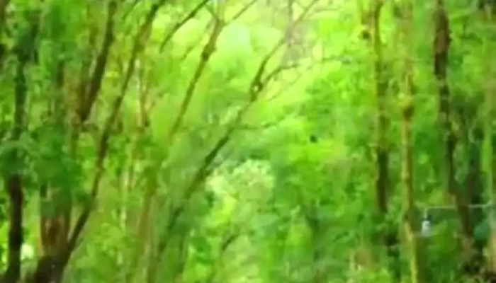 Hotel Boas Novas Paracambi -  Videos - Paracambi
