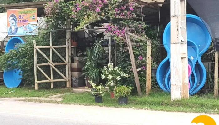 Italverde Plantas -  Jardim - Italva