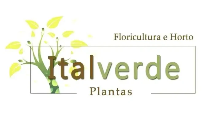 Italverde Plantas -  Mais Recentes - Italva