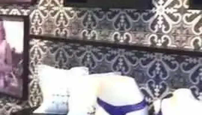 Jescri Lingerie -  Interior - Nova Friburgo