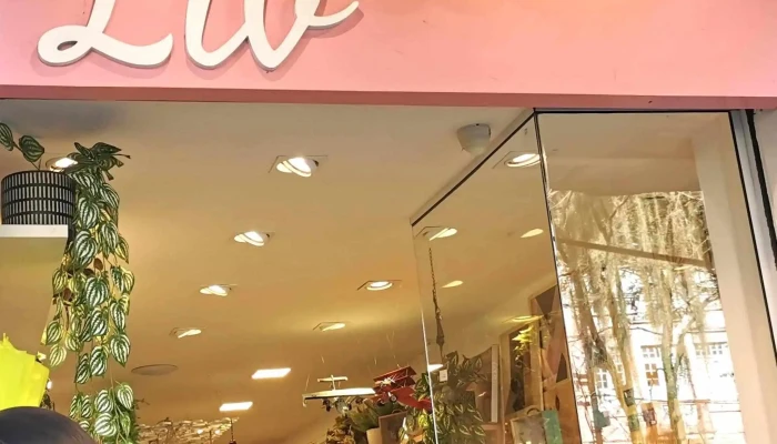 Liv -  Instagram - Petrópolis