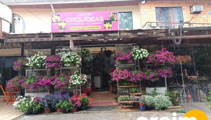 Makki - Itatiaia