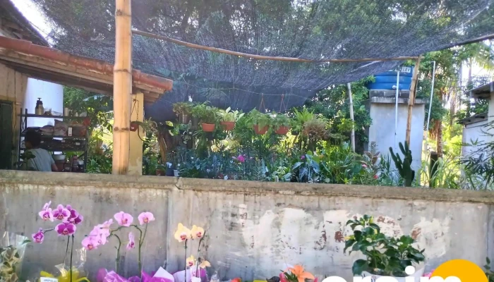 Mensageiro Do Rei Jardinagem Floricultura Terra Adubada Jardim - Quissamã