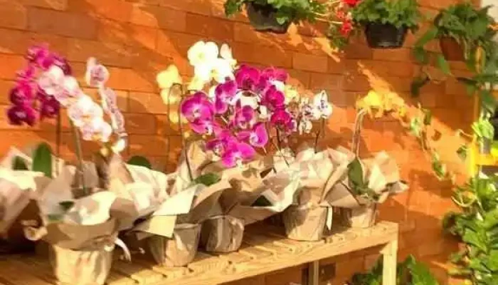 Morada De Flores -  Jardim - Quatis