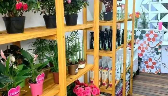 Morada De Flores -  Tudo - Quatis