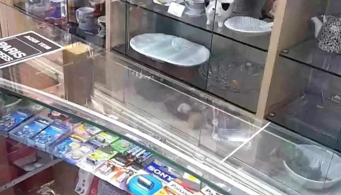 Nippon Importadora -  Videos - Niterói