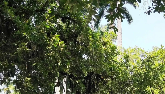 Paraiba Do Sul -   Rj Aberto Agora - Paraíba Do Sul