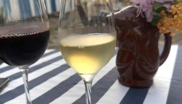 Paraty Wine Bar -  Mais Recentes - Paraty