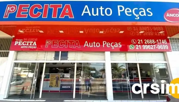 Pecita Auto Pecas Do Proprietario - Seropédica
