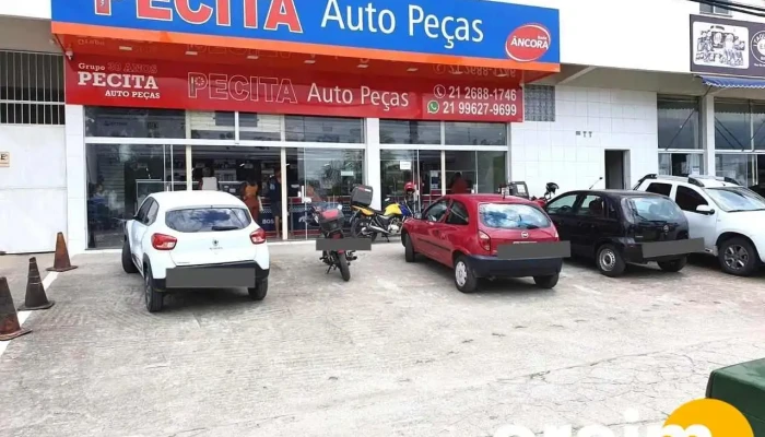 Pecita Auto Pecas Tudo - Seropédica
