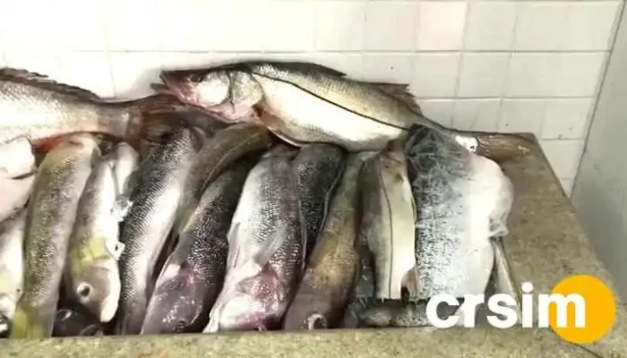 Peixaria Havay Central -    Paraty Videos - Paraty