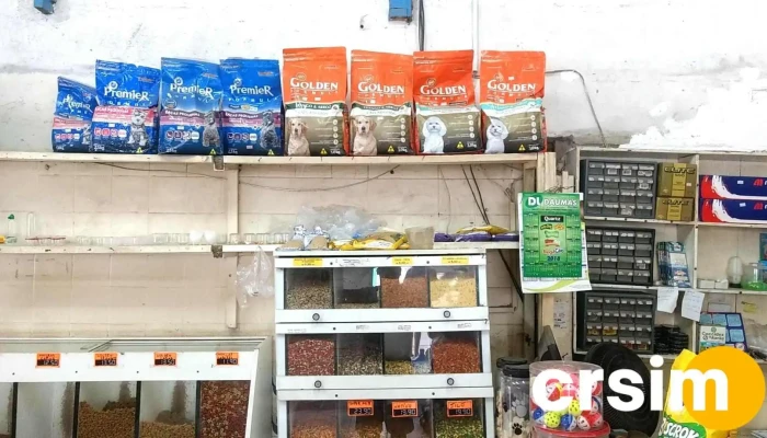 Pet Bazar Alternativa -  Interior - Japeri