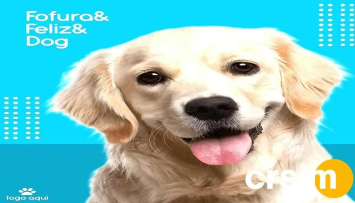 Petshow Dogs Cats Tudo - Rio Das Flores
