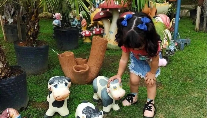 Plantas Cia -  Floricultura - Macuco
