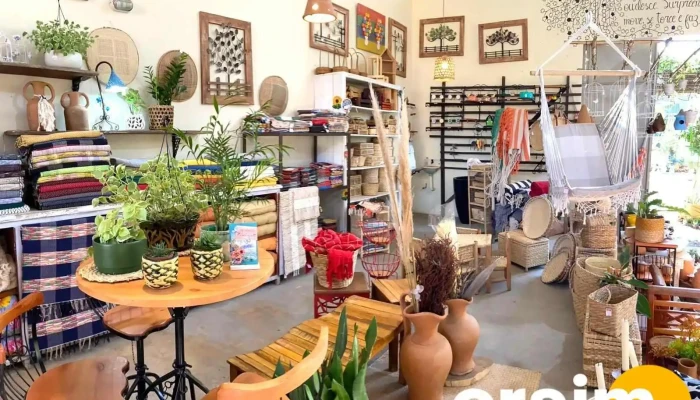 Plantas Cia -  Interior - Macuco