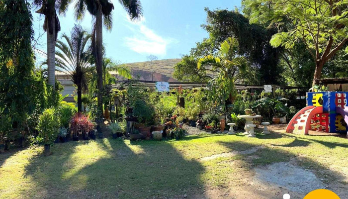 Plantas Cia -  Jardim - Macuco