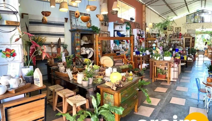 Plantas Cia -  Tudo - Macuco