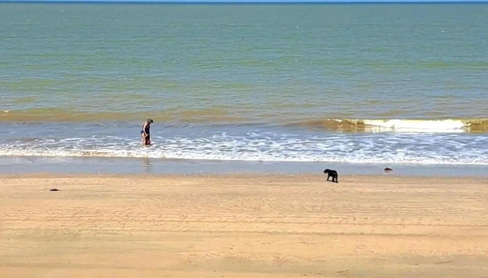 Praia De Buena -  Perto De Mim - São Francisco De Itabapoana