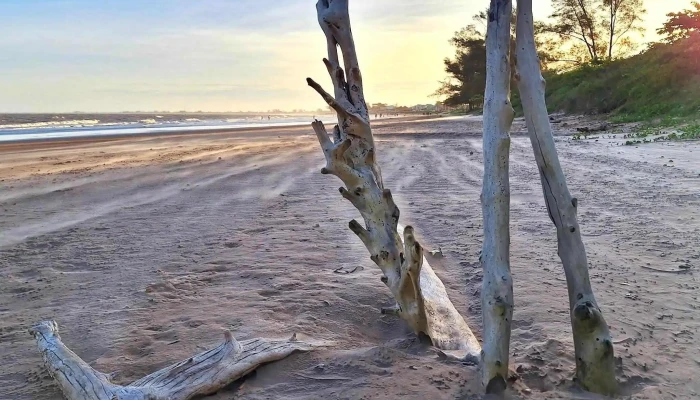 Praia De Guaxindiba -  Numero - São Francisco De Itabapoana