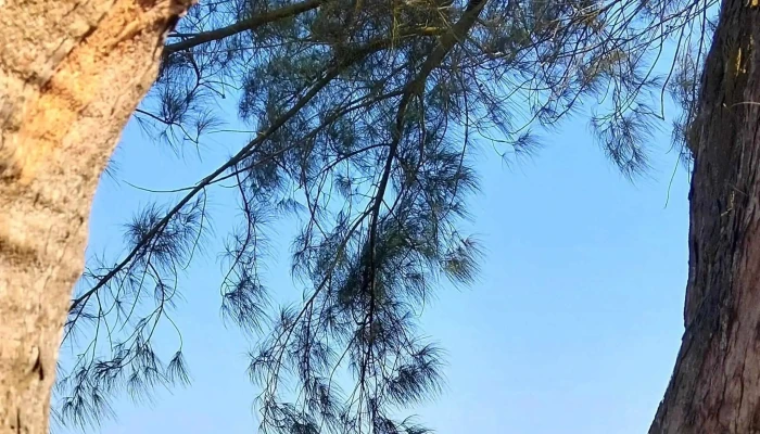 Praia De Guaxindiba -  Site - São Francisco De Itabapoana
