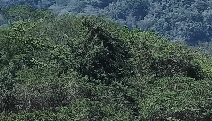 Praia Pequena -  Atracao Turistica - Mangaratiba