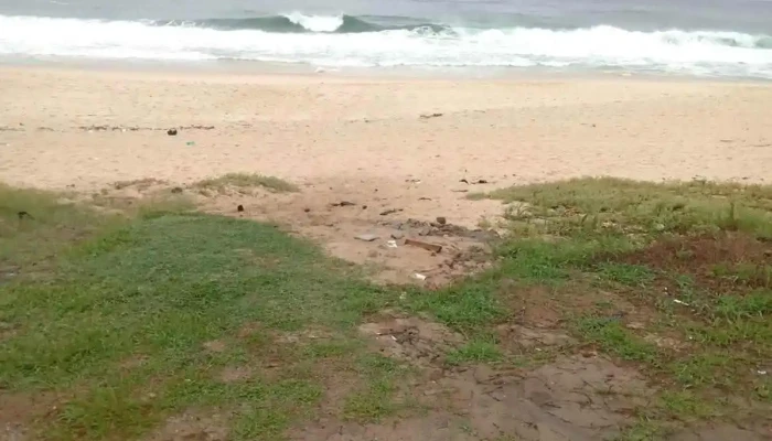 Pravadelli Materiais De Construcao Tudo - Maricá