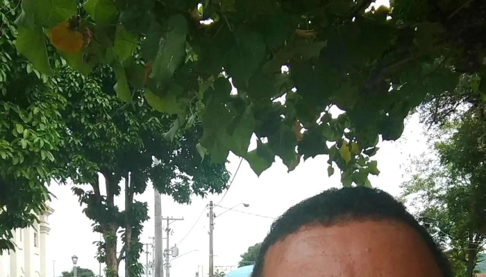 Prefeitura Municipal De Sao Fidelis Videos - São Fidélis