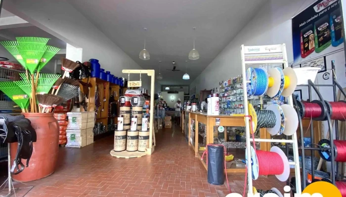 Racoes Quinzinho Interior - Miguel Pereira