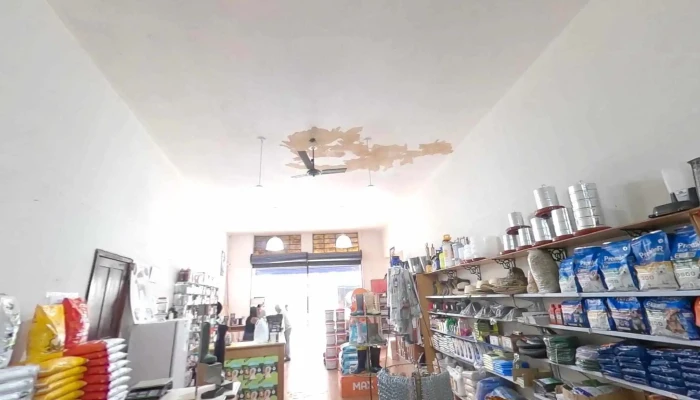 Racoes Quinzinho Street View E 360deg - Miguel Pereira