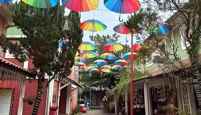 Reserva Da Mata -  Mais Recentes - Itatiaia