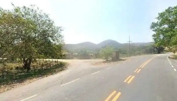 Revista Da Natura -  Street View E 360deg - Rio Das Flores