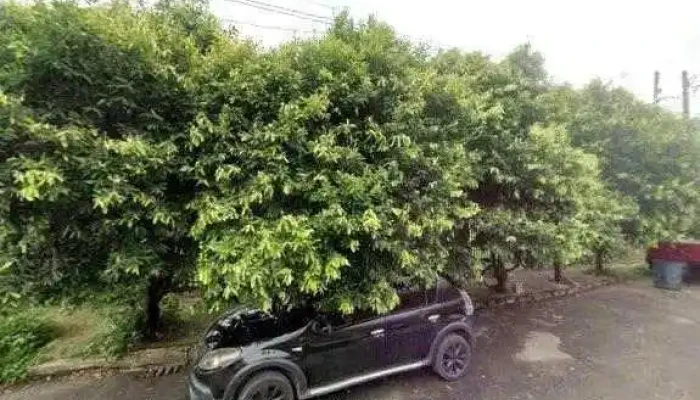 Rota Rj 127 -  Street View E 360deg - Paracambi