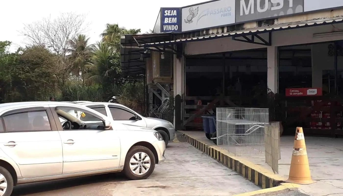 Seropec Atacado Distribuidor -    Racoes Cloro Medicamento Jardim Linha Pet Petfood Videos - Seropédica
