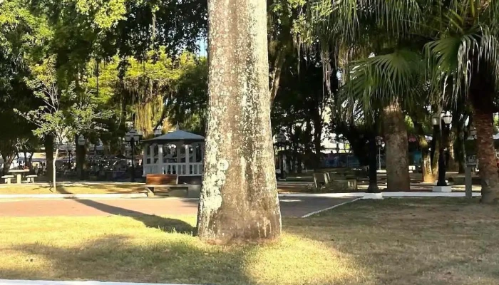 Silva Jardim -  Tudo - Silva Jardim