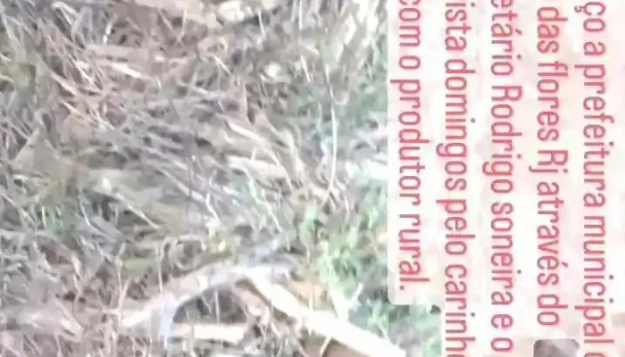 Sitio Vale Verde -  Videos - Rio Das Flores