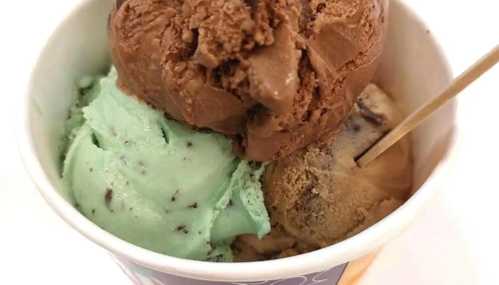 Sol Neve Sao Fidelis Gastronomia - São Fidélis