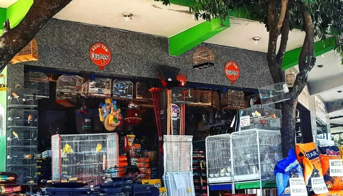 Spesse Passaros Cia Pet Shop - Italva