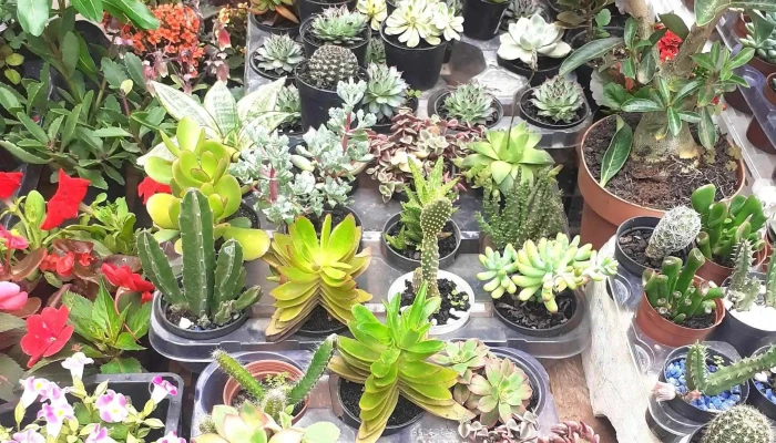 Supermercados Casa Do Sabao  Japeri Japeri - Japeri