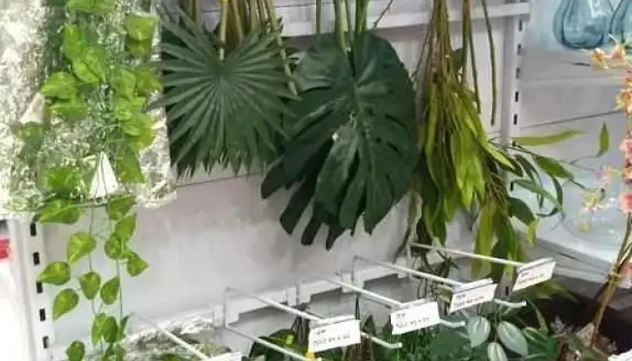 Tem Tudo Petropolis   Centro Tudo - Petrópolis