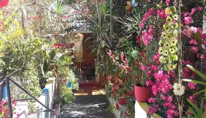 Vera Cruz Florarte - 190